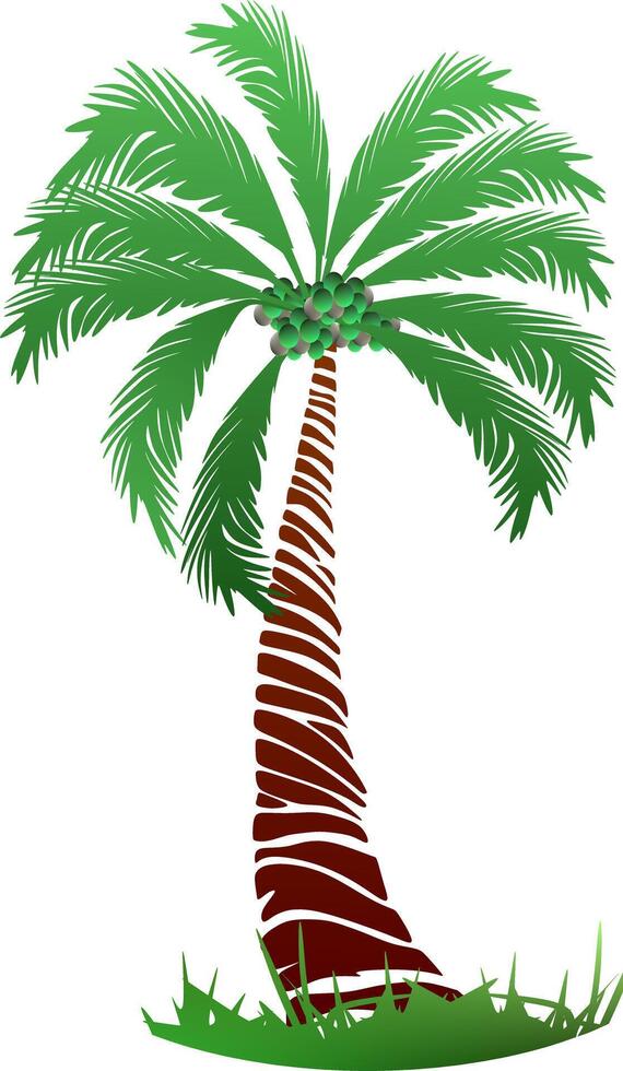 Palm tree illustration. a tropical island with palms. Nature logo icon vector