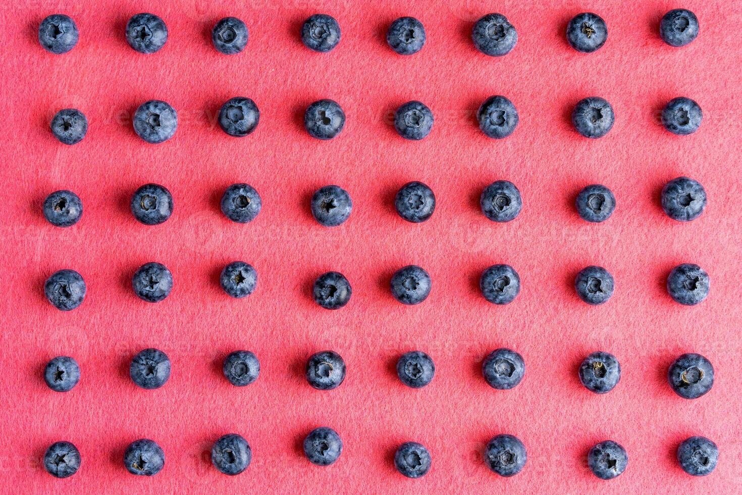 Colorful fruit pattern of blueberries on pink background. Top view. photo