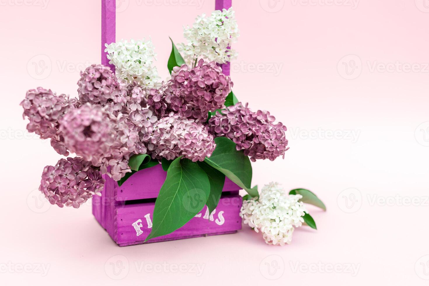Lilac flowers bunch in a violet wooden basket over pink background. Beautiful violet Lilac flower still life Easter border design on wooden table. Beauty fragrant Lilac Flowers bouquet with Copy space photo