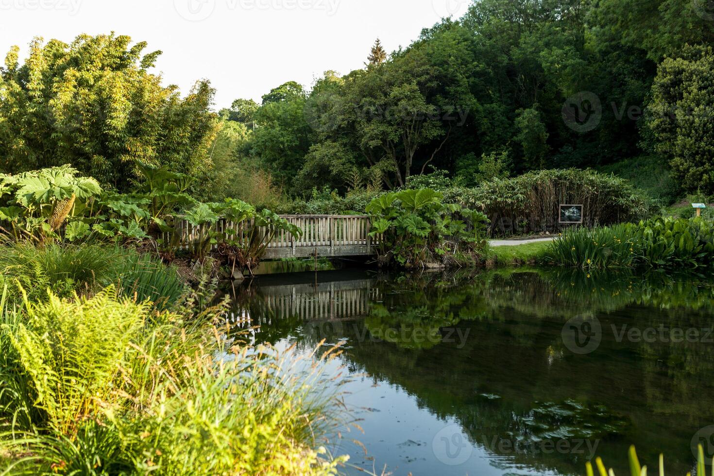 botánico jardín le vallón du picar del ala brest Francia 27 mayo 2018 - pequeño lago y puente verano temporada foto