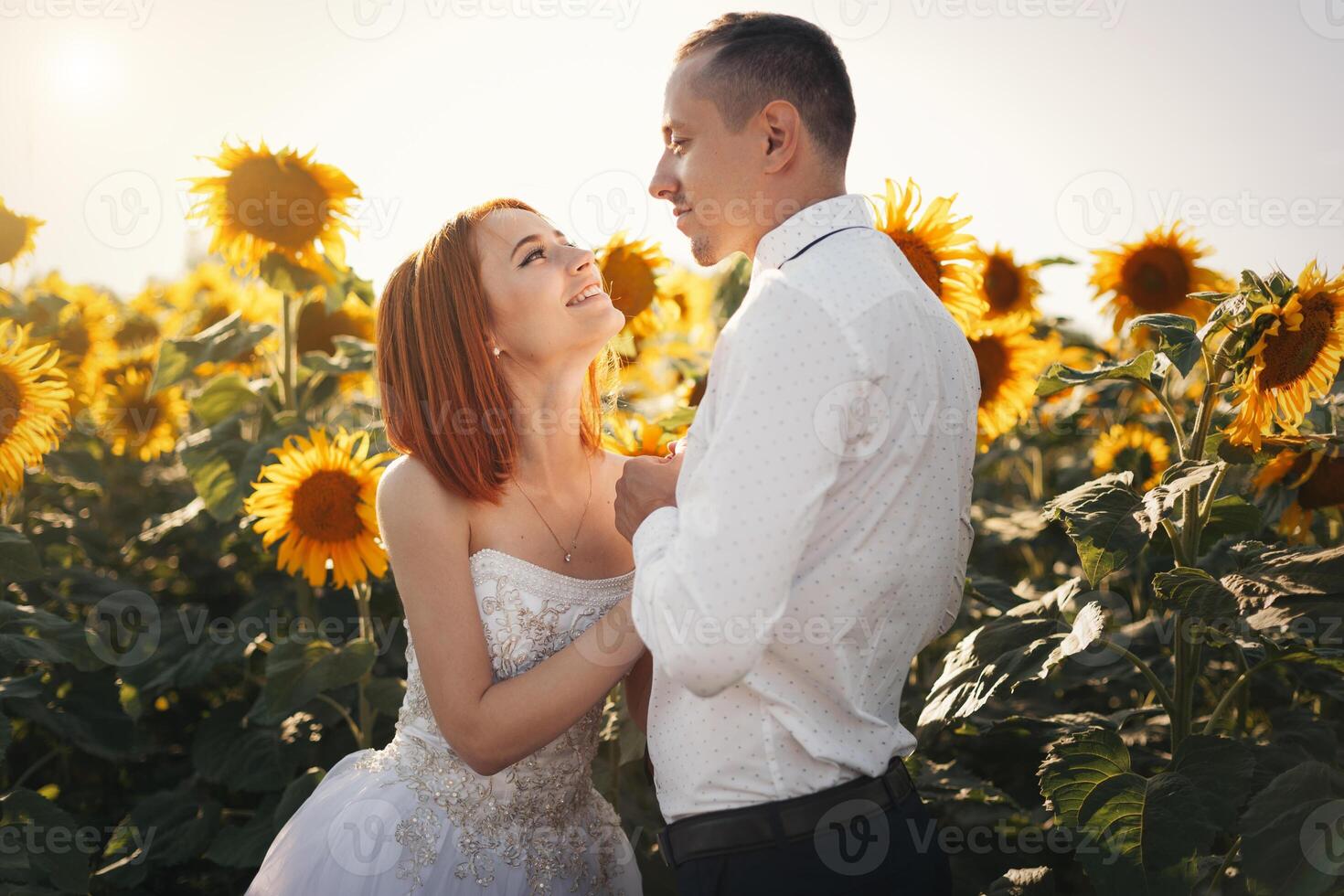 Bride in wedding white dresses and groom in whit shirt and tie standing hugging in the field of sunflowers photo