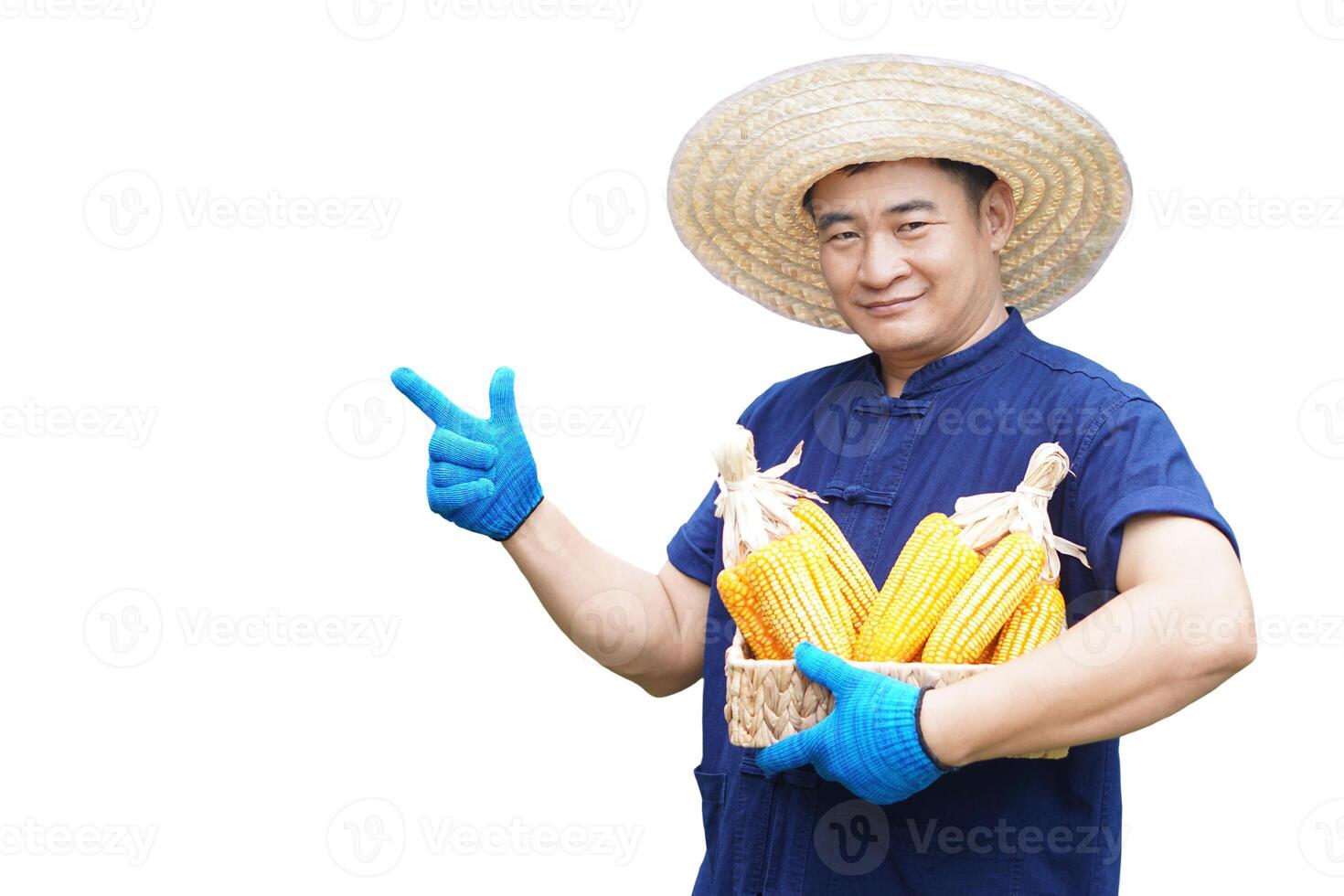 Handsome Asian man farmer wears hat, blue shirt,holds basket of corn pods or maizes, point finger, isolated on white background. Concept, agriculture occupation photo