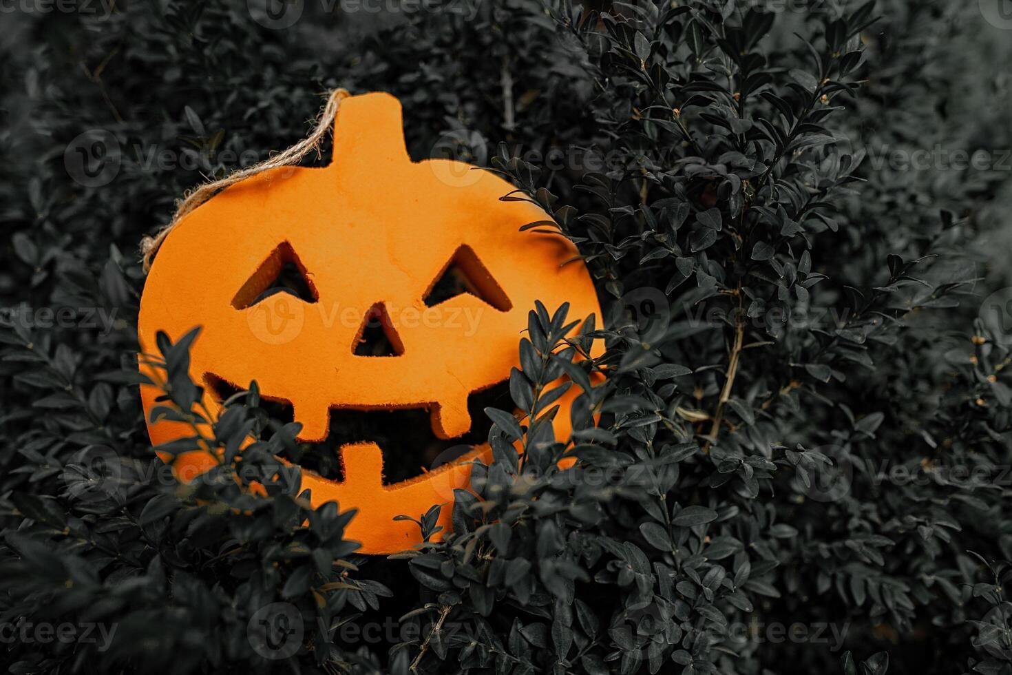 Halloween pumpkin on the dark green leaves pattern photo