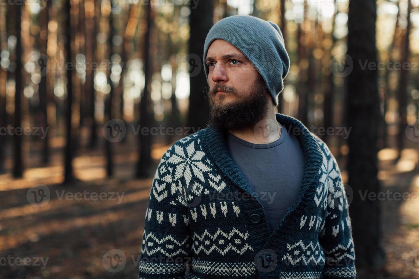 a young man with a beard walks in a pine forest. Portrait of a brutal bearded man Autumn forest photo