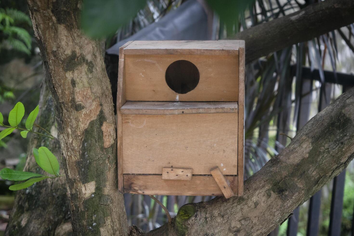 wooden bird house on tree photo