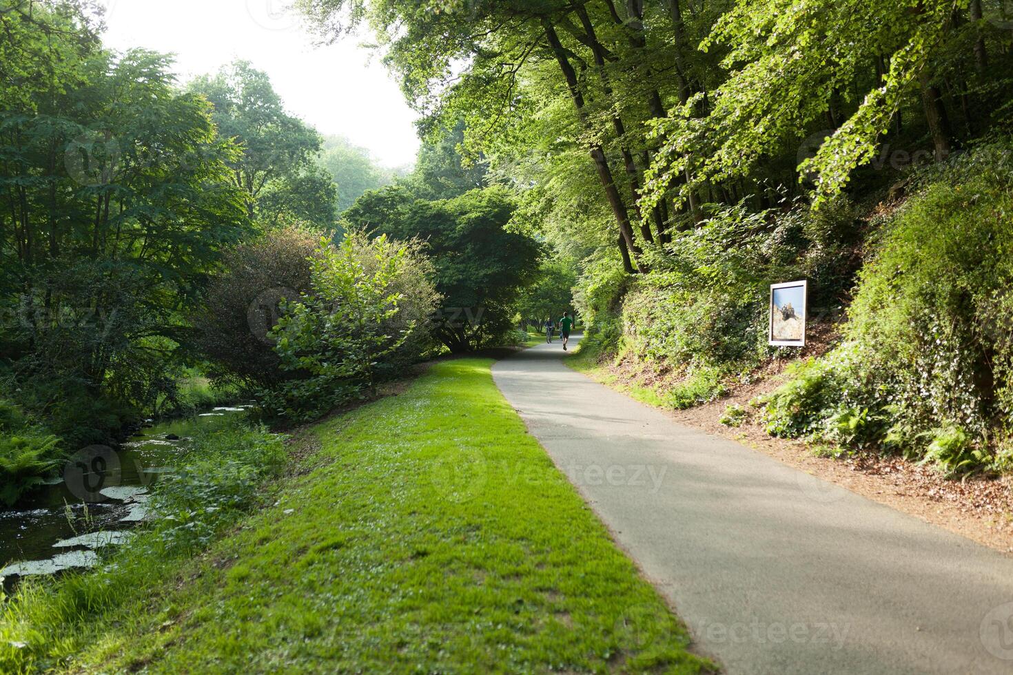 botánico jardín le vallón du picar del ala brest Francia 27 mayo 2018 - pequeño lago y puente verano temporada foto