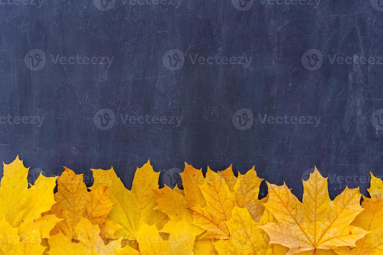 otoño hojas marco en negro antecedentes parte superior ver otoño frontera amarillo y naranja hojas Clásico estructura mesa Copiar espacio para texto. foto
