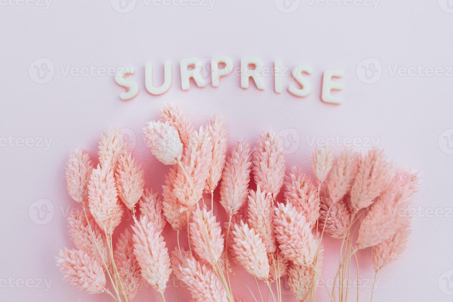 Beautiful pink dried flowers on a pink background with the inscription surprise in white letters and free space for the text photo
