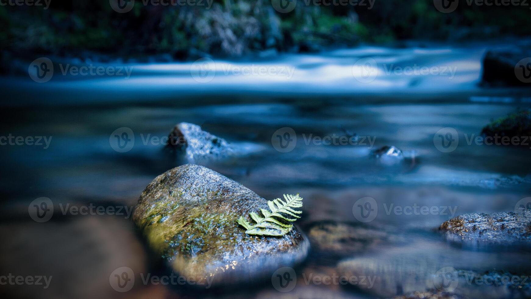 Long exposure of a river, stones with fern leaf in the foreground. Forest background photo