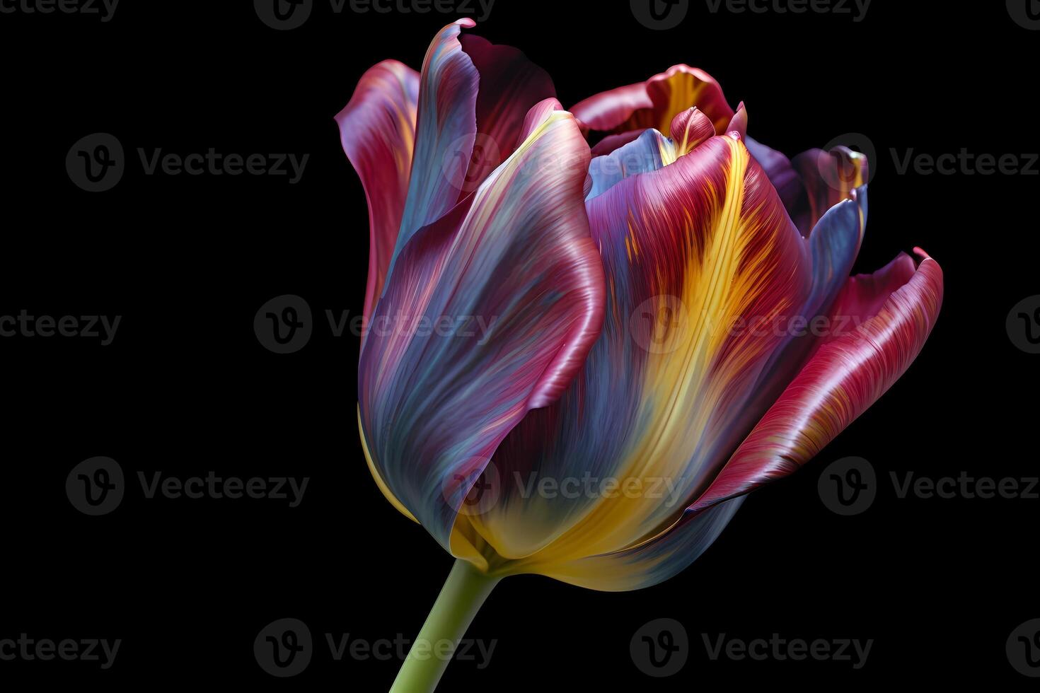 AI generated Colorful tulip on black background. Generated AI photo