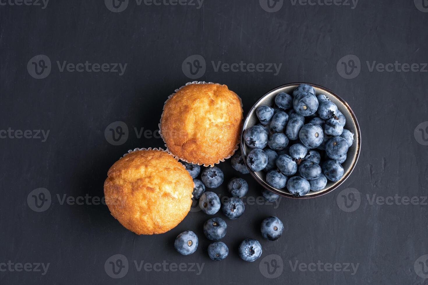 Blueberry antioxidant organic superfood in ceramic bowl and sweet muffin photo