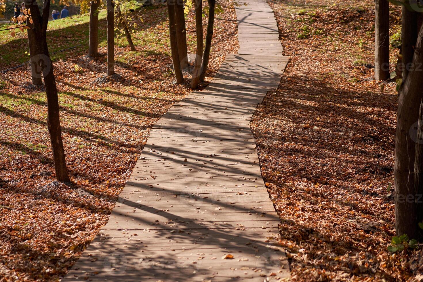 Old road made of wooden planks as in an autumn park. photo