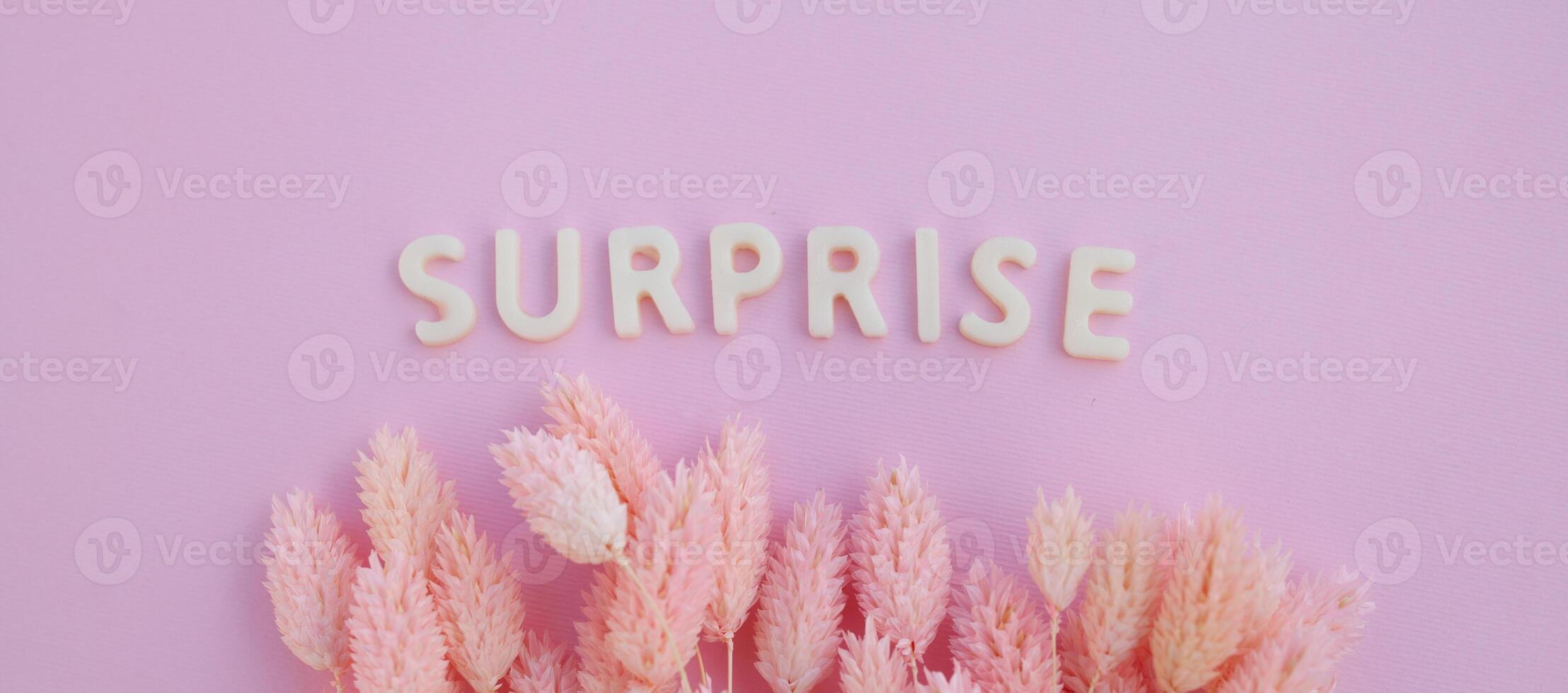 Beautiful pink dried flowers on a pink background with the inscription surprise in white letters and free space for the text photo