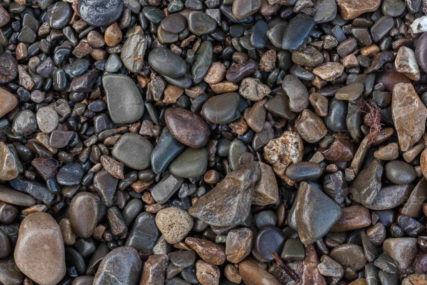 texture of wet shiny small sea stones photo