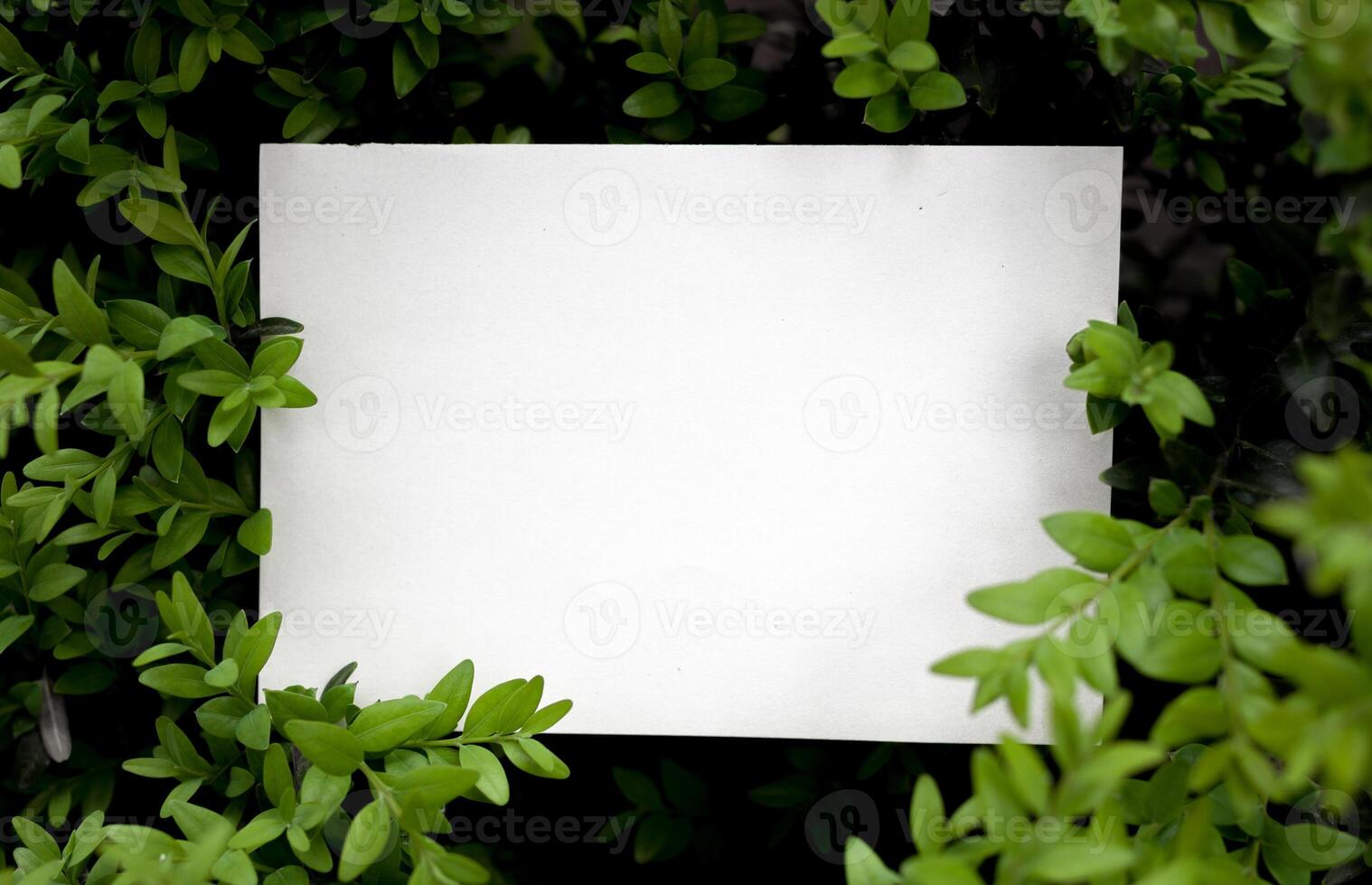 Creative layout made of green leaves with paper card note. Flat lay. Nature concept photo