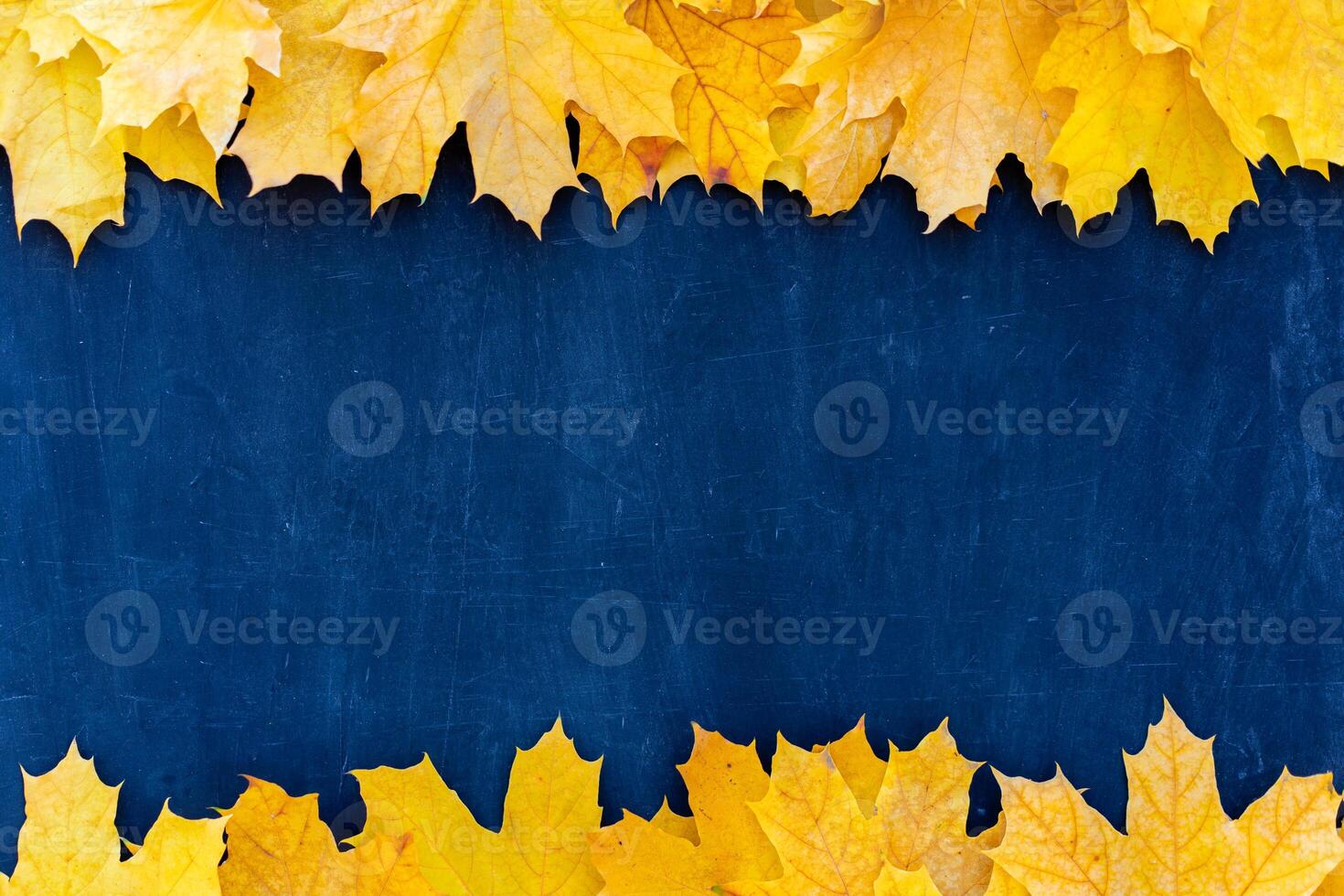 Autumn leaves frame on blue background top view Fall Border yellow and Orange Leaves vintage structure table Copy space for text. photo