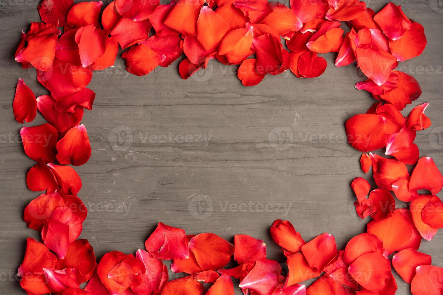 A square frame made of rose petals on a dark cement table. photo