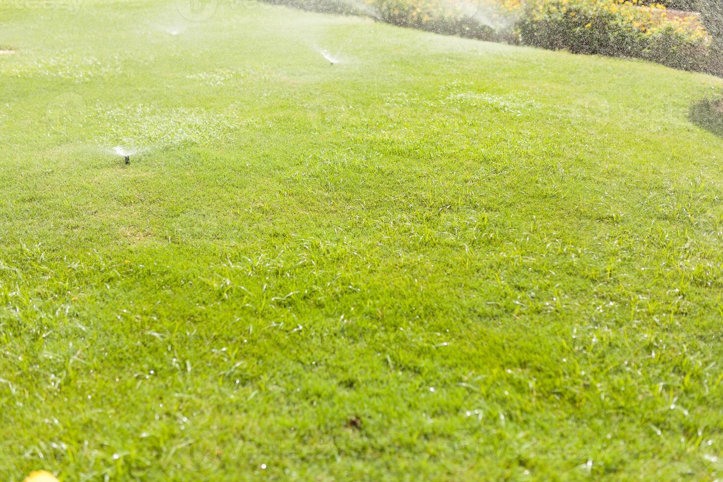 Automatic sprinkler head spraying water over green grass photo