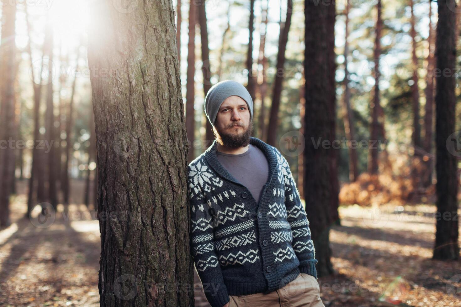 a young man with a beard walks in a pine forest. Portrait of a brutal bearded man Autumn forest photo