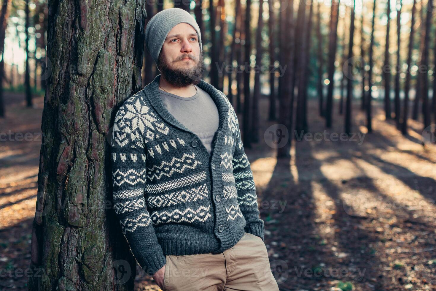 a young man with a beard walks in a pine forest. Portrait of a brutal bearded man Autumn forest photo