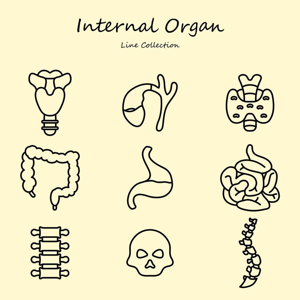 Internal organ editable icons set outline style vector