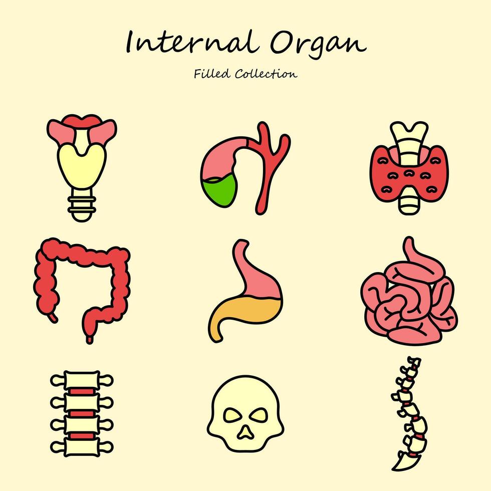 Internal organ editable icons set filled style vector