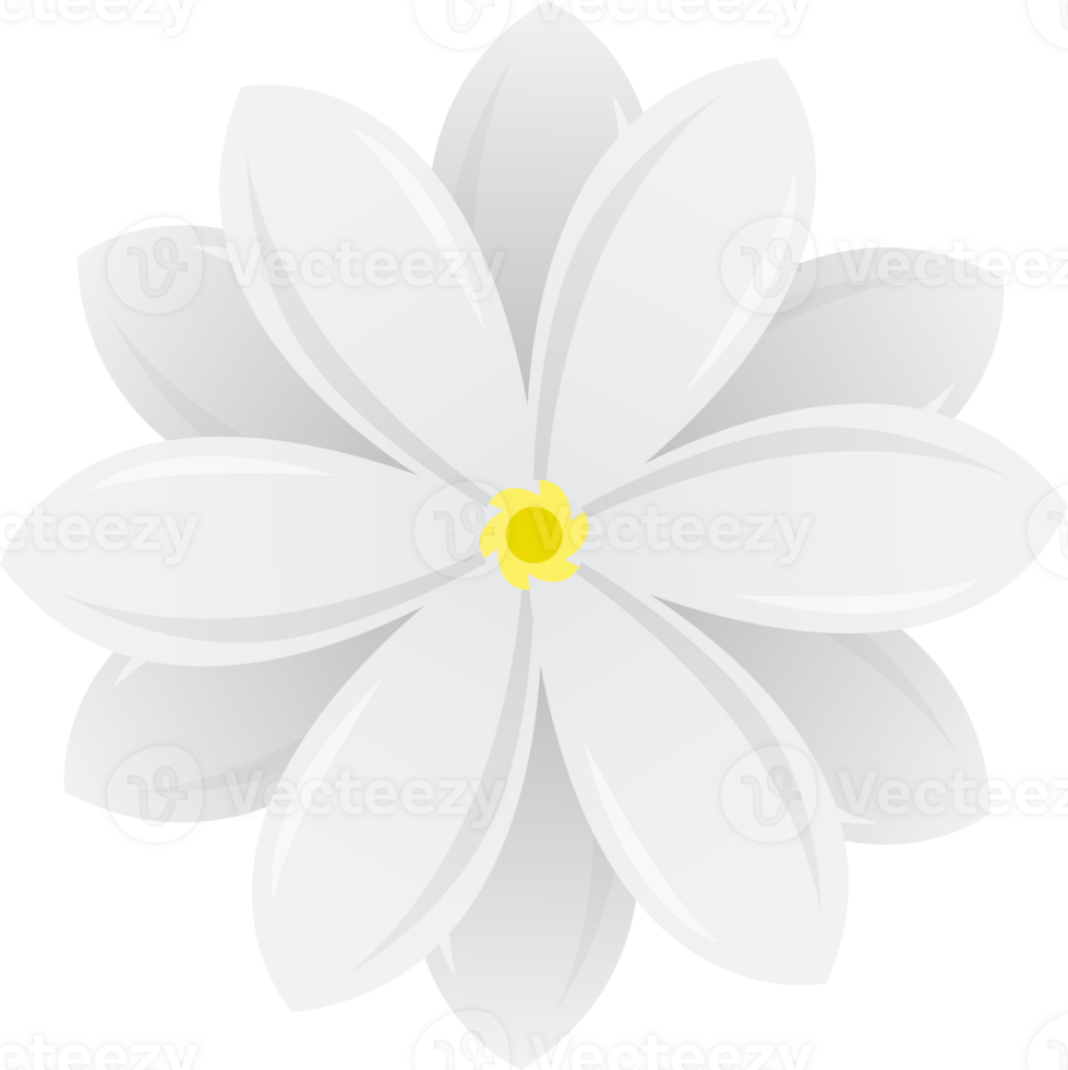 white jasmine flower for decoration design png