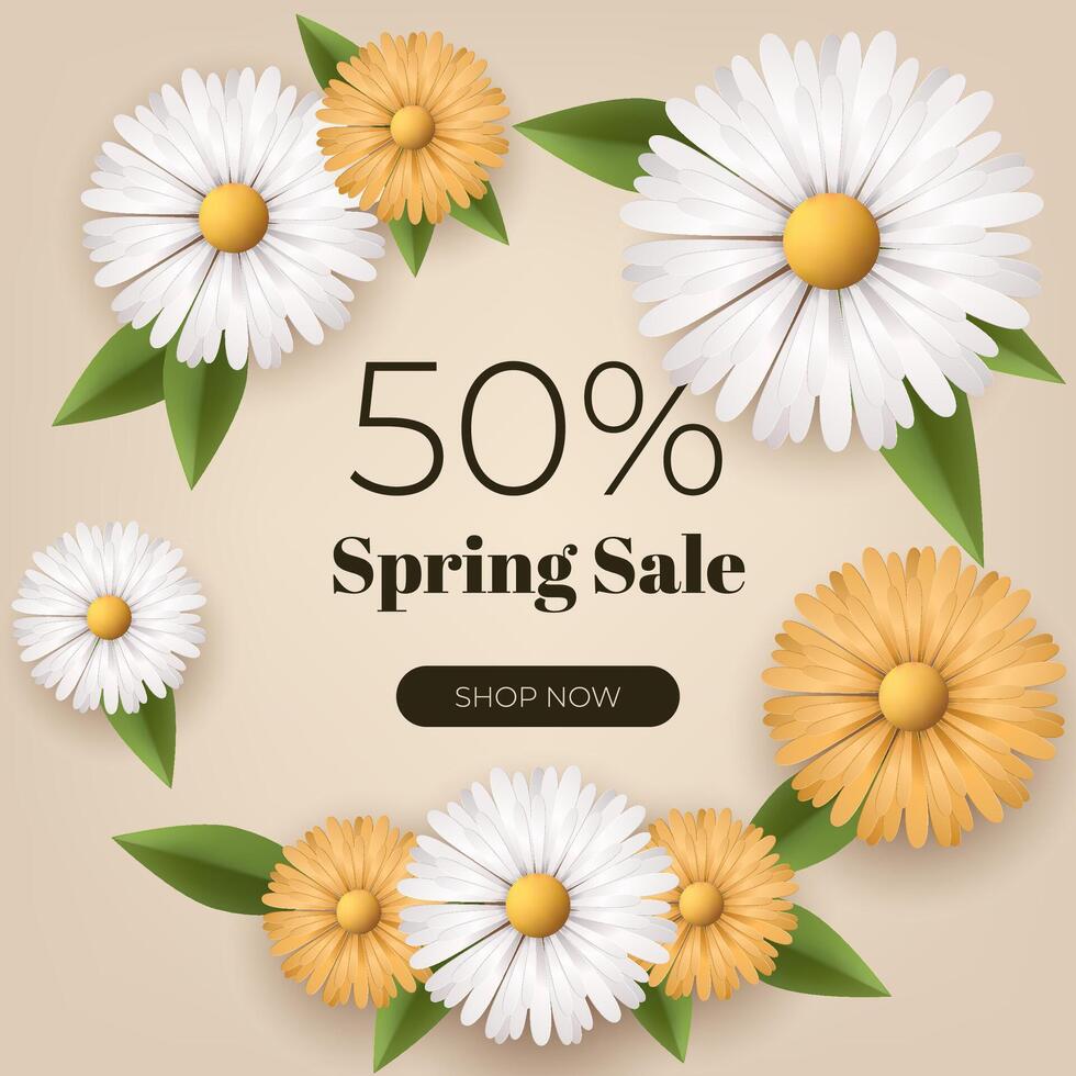 A spring sale banner with white yellow flowers, offering a 50 percent discount. Blossoms adorn the background, creating a cheerful and inviting design perfect for promotions and marketing. Not AI. vector