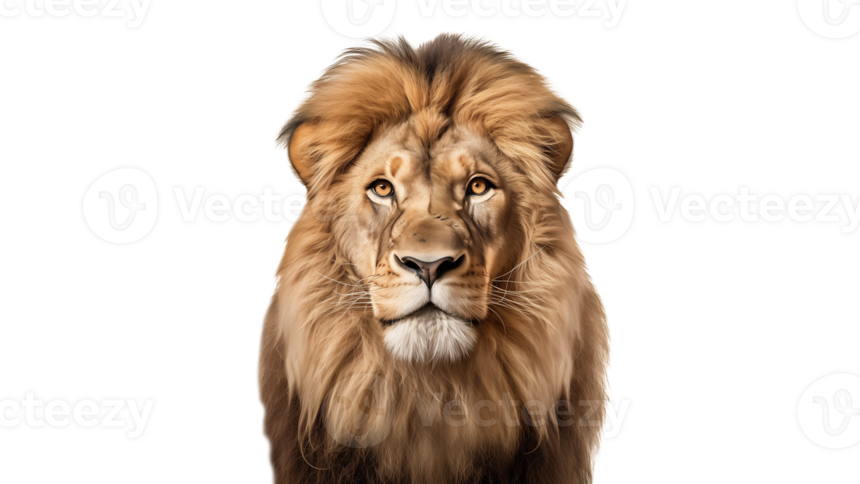 AI generated Lion animal cut out. Lion on transparent background png