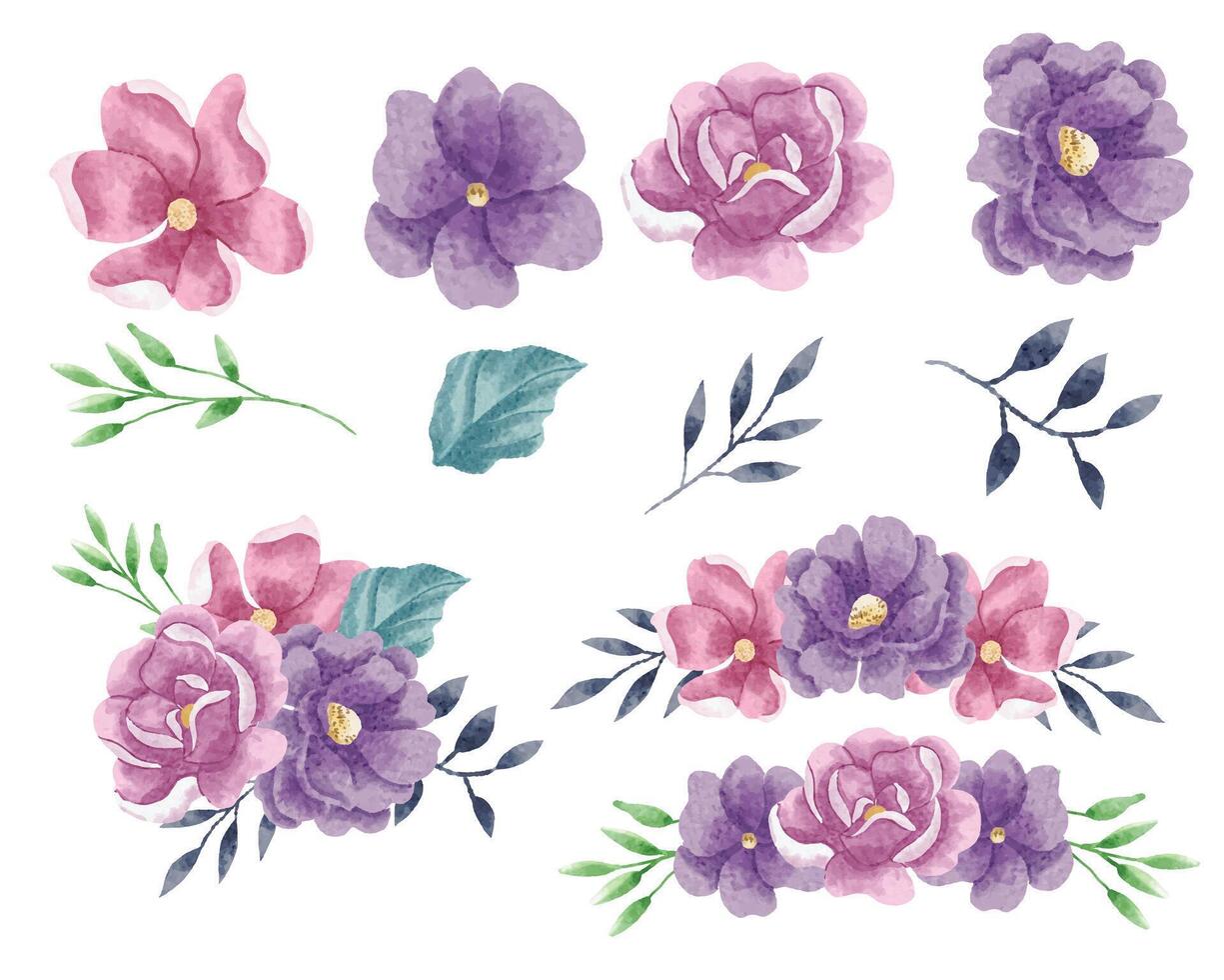 Purple and Pink Rose Watercolor Flower vector