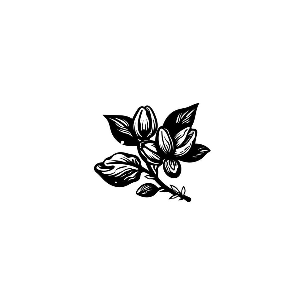 AI generated Cacao logo vector icon design vintage