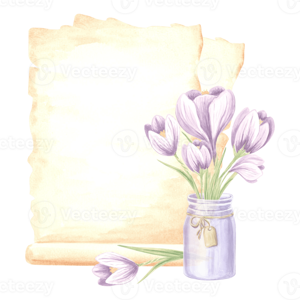 Watercolor composition papyrus, aged sheets of paper with bouquet of violet crocuses flowers in glass jar with tag. Isolated hand drawn illustration template for cards, packaging , textile, sticker. png