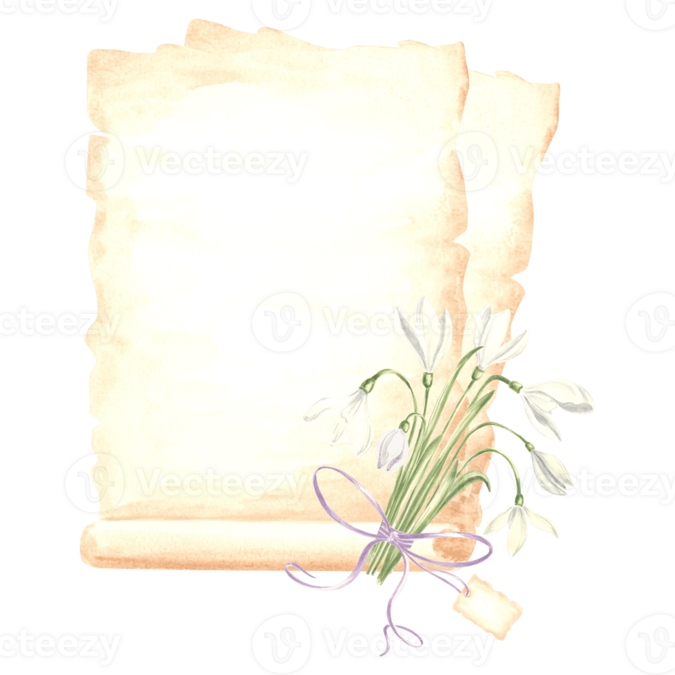 vattenfärg sammansättning papyrus, åldrig ark papper med bukett av vit snödroppar blomma med rosett och märka. isolerat hand dragen illustration mall för kort, förpackning och täcker, textil, klistermärke. png