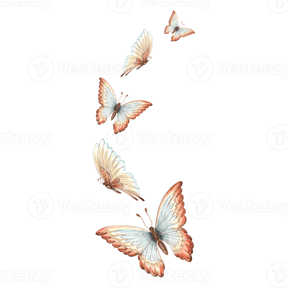 Watercolor butterflies brown and blue color. Hand drawn illustration exotic wild insect. Template isolated drawing for decorate invitation, card, print, packaging, sticker, embroidery, textile png