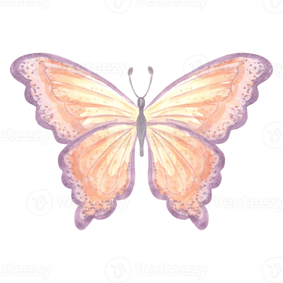 Watercolor flying butterflies delicate peach fuzz color. Isolated hand drawn illustration spring exotic wild insect. Template drawing for card, packaging, tableware, textile and sticker, embroidery. png