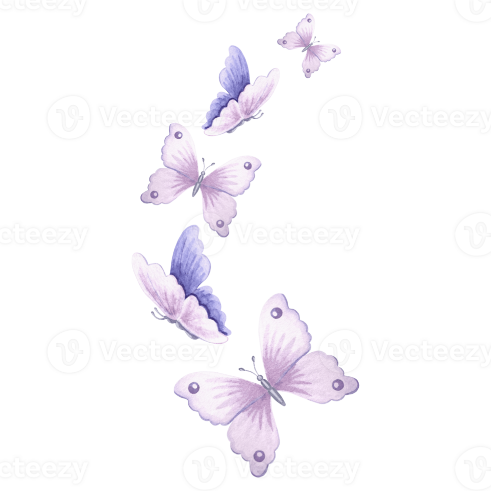 vattenfärg flygande fjärilar delikat ljus violett Färg. isolerat hand dragen illustration vår exotisk vild insekt. mall teckning för kort, förpackning och servis, textil, klistermärke, broderi. png