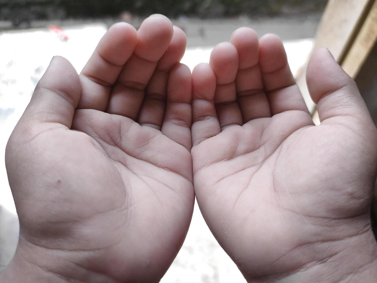 a small child's hands praying for blessings from god photo