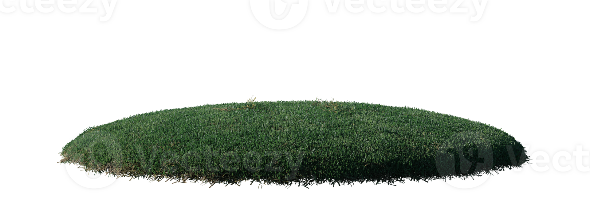 Round surface patch covered with flowers, green or dry grass isolated on white background. Realistic natural element for design. Bright 3d illustration. png