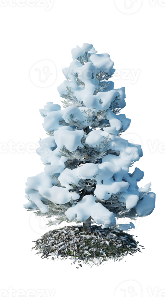 Christmas tree isolated on transparent background png