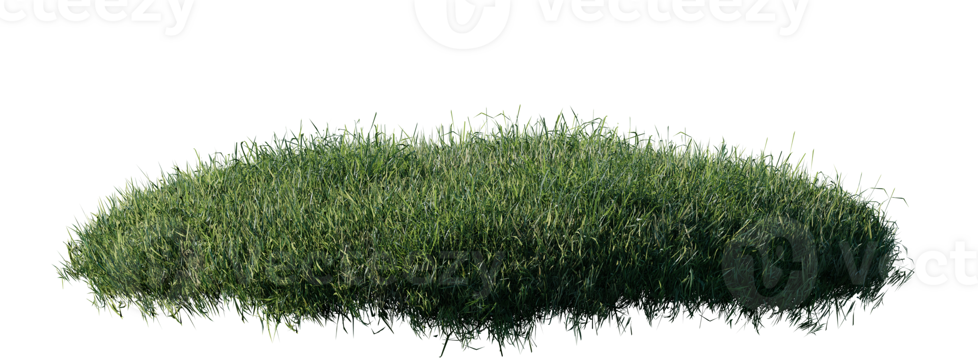 Round surface patch covered with flowers, green or dry grass isolated on white background. Realistic natural element for design. Bright 3d illustration. png