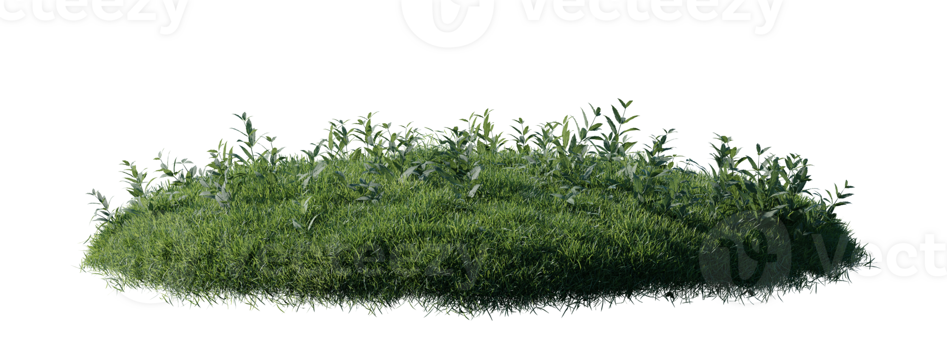 Round surface patch covered with flowers, green or dry grass isolated on white background. Realistic natural element for design. Bright 3d illustration. png