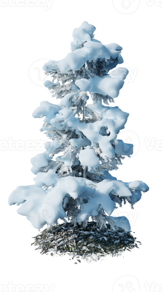 Christmas tree isolated on transparent background png