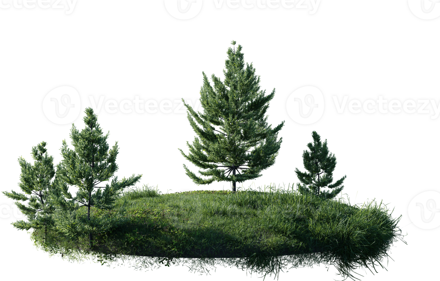Round surface of Small Pine forest patch covered with flowers, green or dry grass isolated on transparent background. Realistic natural element for design. Bright 3d png