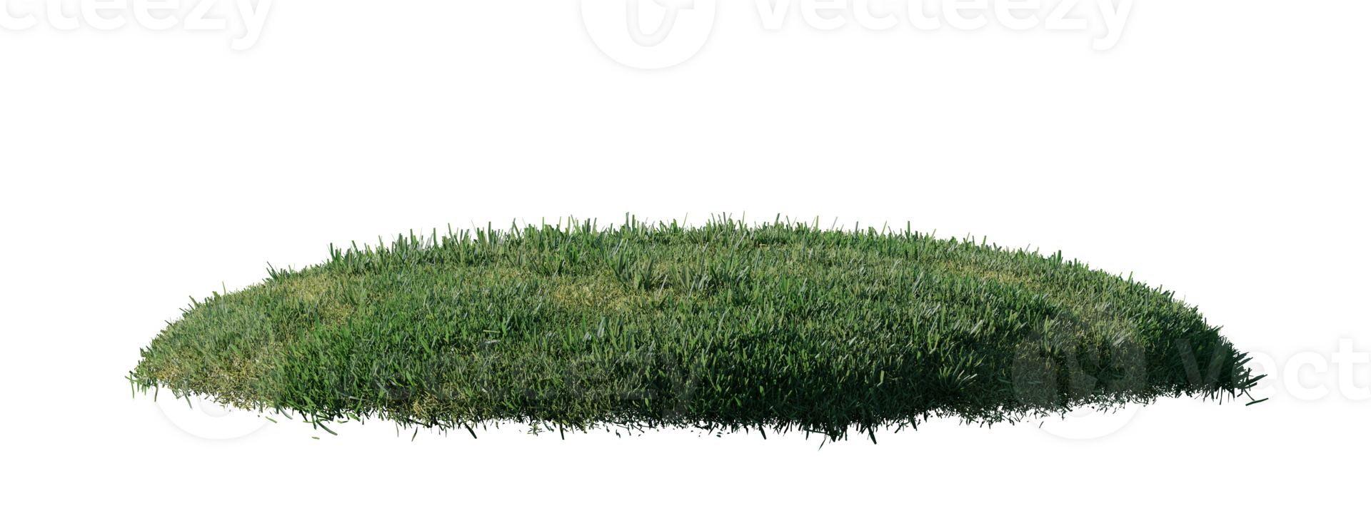 Round surface patch covered with flowers, green or dry grass isolated on white background. Realistic natural element for design. Bright 3d illustration. png