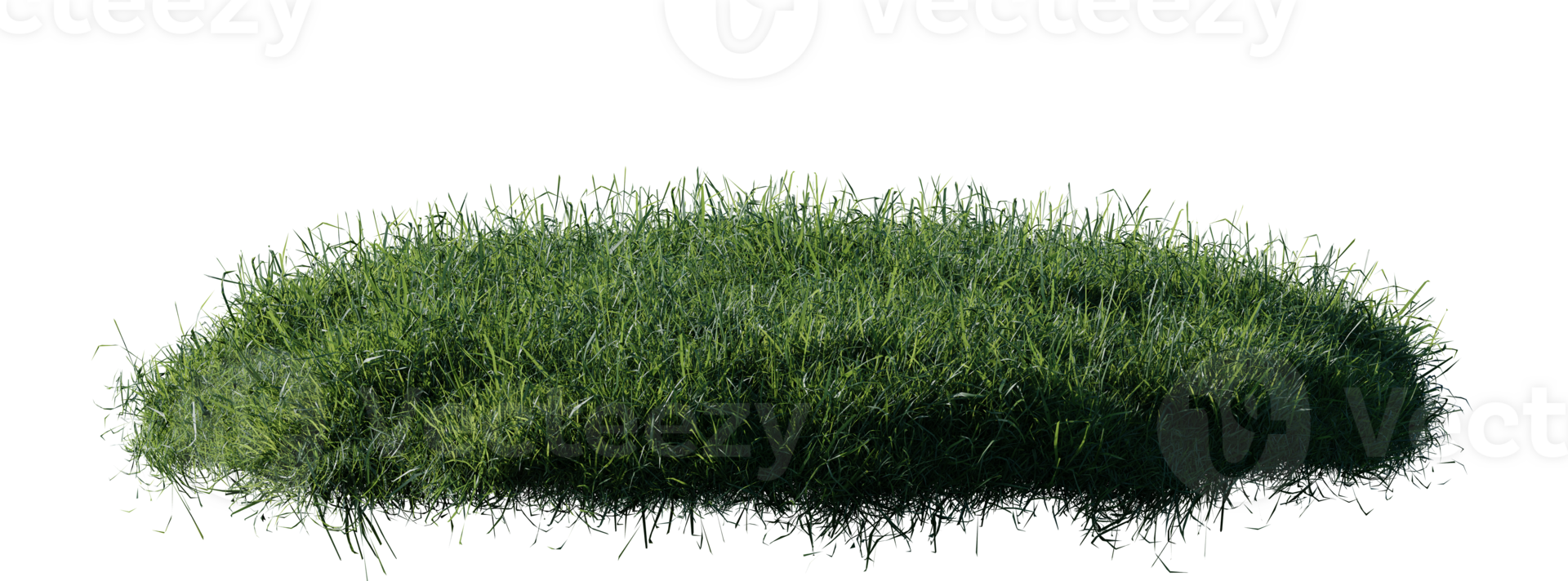 Round surface patch covered with flowers, green or dry grass isolated on white background. Realistic natural element for design. Bright 3d illustration. png