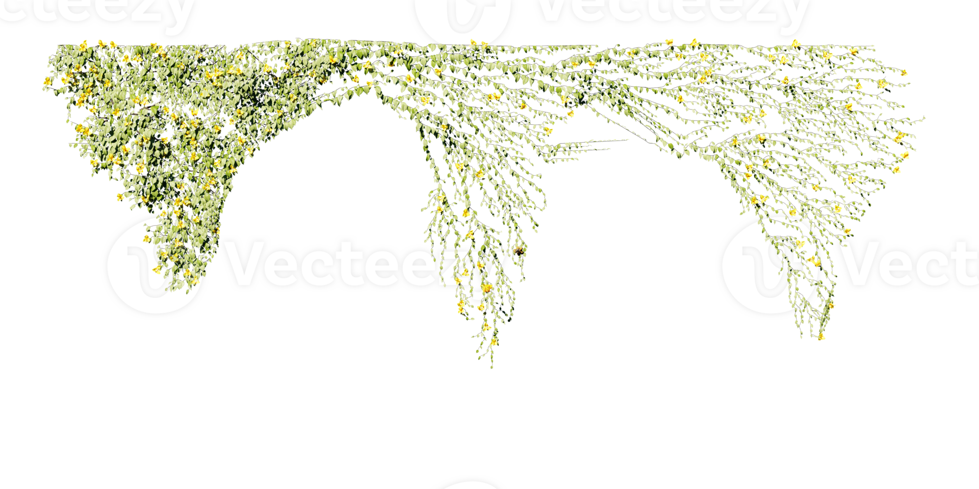 beautiful ivy green and flower png