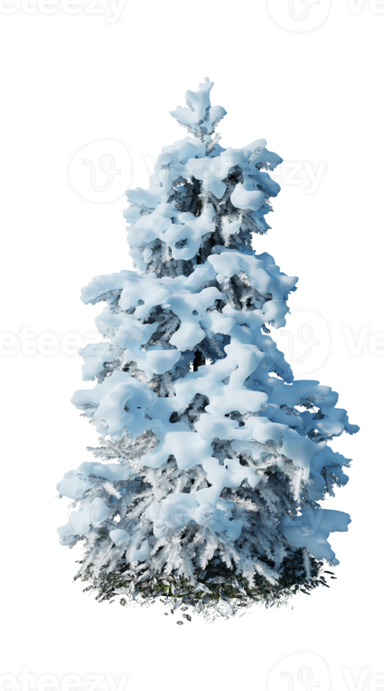 Christmas tree isolated on transparent background png
