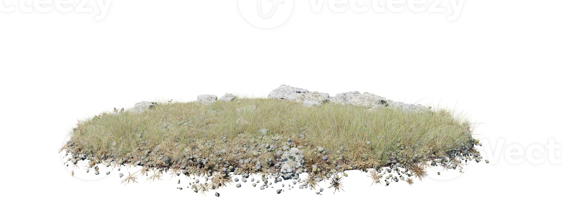 Round surface of Small Plant forest patch covered with flowers, green or dry grass isolated on transparent background. Realistic natural element for design. Bright 3d png