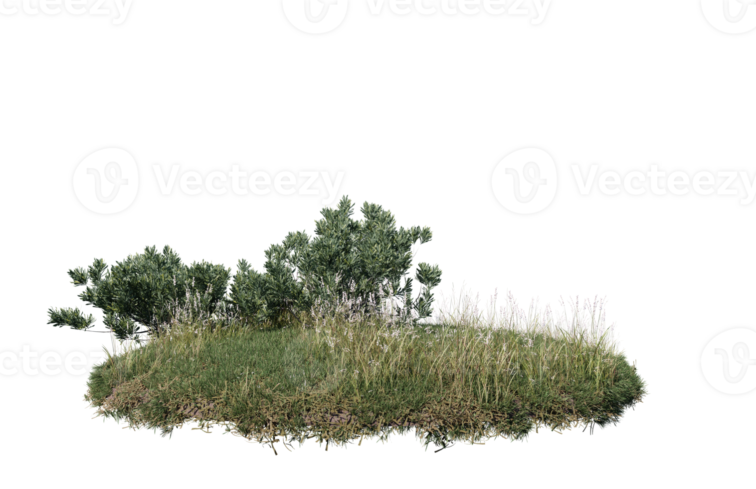 Round surface of Small Plant forest patch covered with flowers, green or dry grass isolated on transparent background. Realistic natural element for design. Bright 3d png