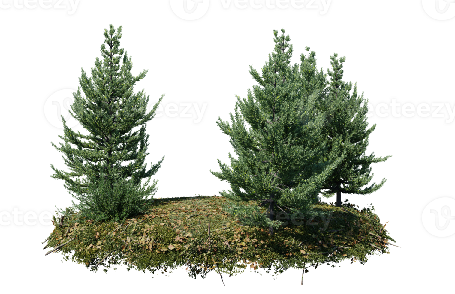 Round surface of Small Plant forest patch covered with flowers, green or dry grass isolated on transparent background. Realistic natural element for design. Bright 3d png
